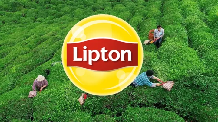 Lipton, Türkiye’deki Üretim Tesislerini Öz-Gür Çay’a Devrediyor